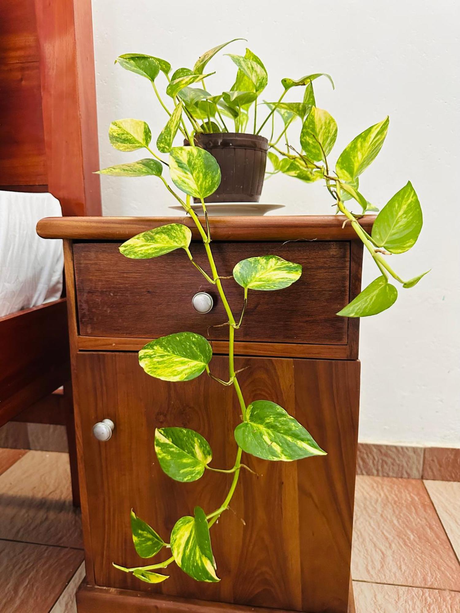 Villa 47 Hikkaduwa Ngoại thất bức ảnh
