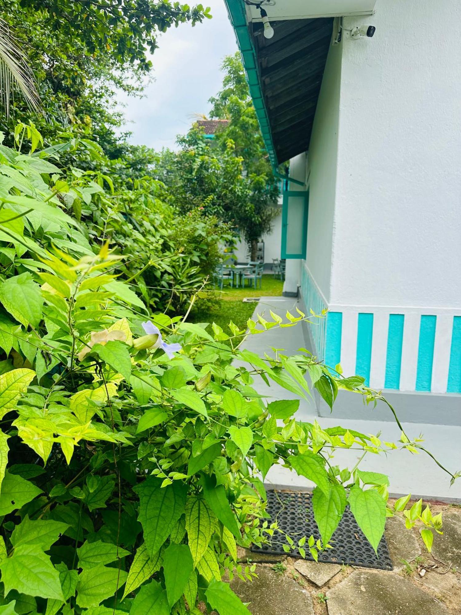 Villa 47 Hikkaduwa Ngoại thất bức ảnh